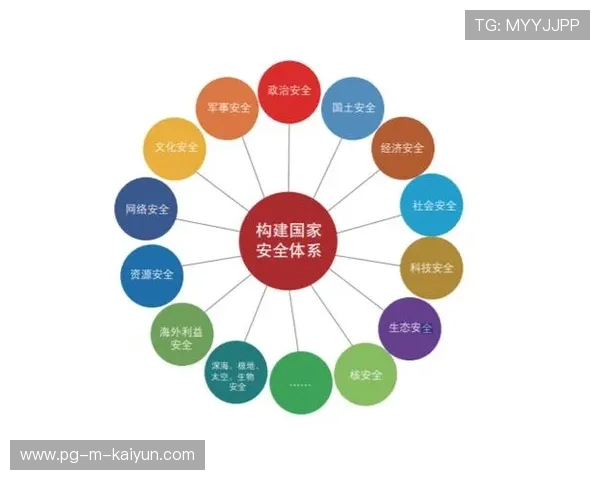 多国强调格斗项目必须建立官方注册体系和安全准入门槛